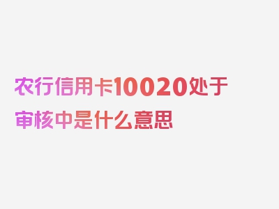 农行信用卡10020处于审核中是什么意思