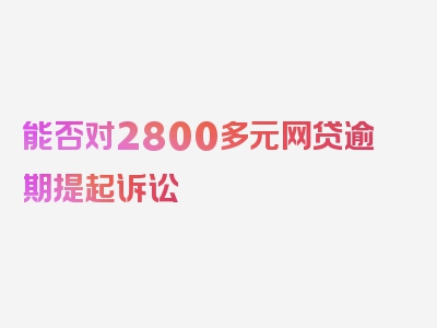 能否对2800多元网贷逾期提起诉讼