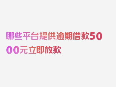 哪些平台提供逾期借款5000元立即放款