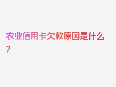 农业信用卡欠款原因是什么？