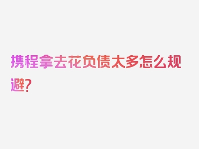 携程拿去花负债太多怎么规避?