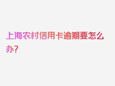 上海农村信用卡逾期要怎么办？