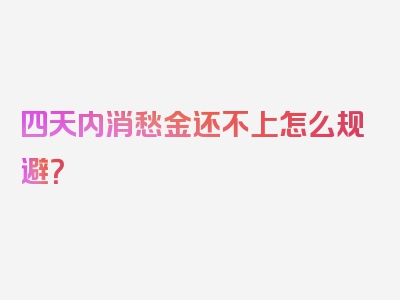 四天内消愁金还不上怎么规避？