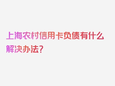 上海农村信用卡负债有什么解决办法？