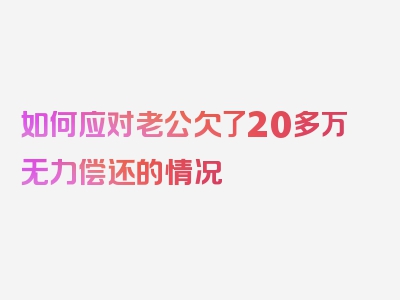 如何应对老公欠了20多万无力偿还的情况