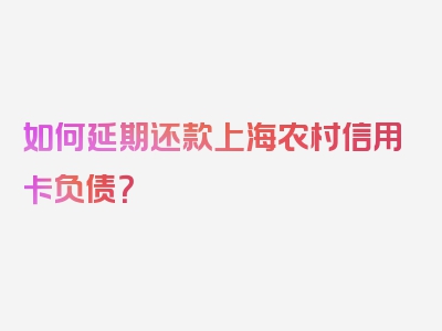 如何延期还款上海农村信用卡负债？