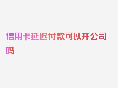 信用卡延迟付款可以开公司吗