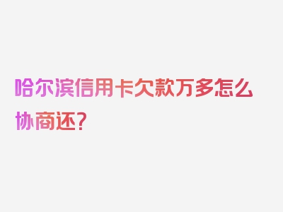 哈尔滨信用卡欠款万多怎么协商还？