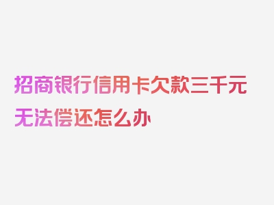 招商银行信用卡欠款三千元无法偿还怎么办