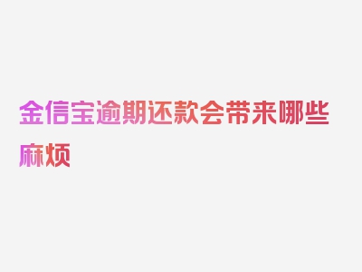 金信宝逾期还款会带来哪些麻烦