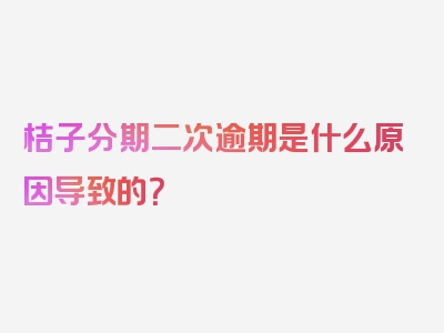 桔子分期二次逾期是什么原因导致的？