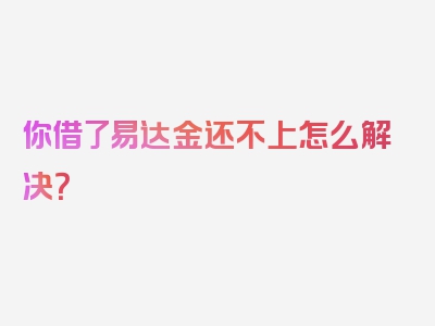 你借了易达金还不上怎么解决？