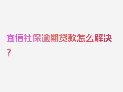 宜信社保逾期贷款怎么解决？