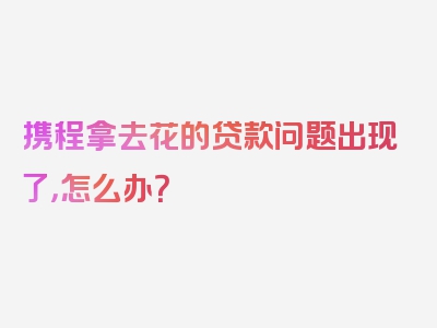 携程拿去花的贷款问题出现了，怎么办？