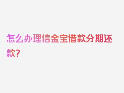 怎么办理信金宝借款分期还款？