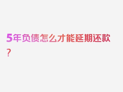 5年负债怎么才能延期还款？