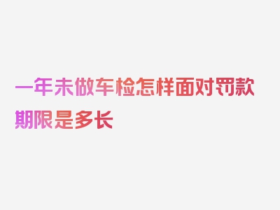 一年未做车检怎样面对罚款期限是多长