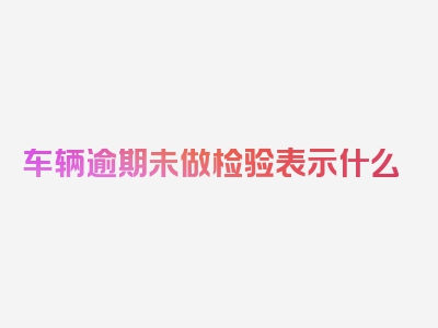 车辆逾期未做检验表示什么