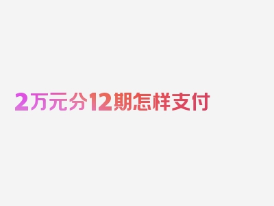 2万元分12期怎样支付