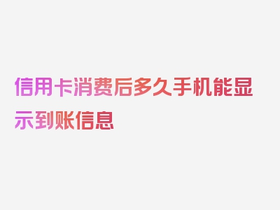 信用卡消费后多久手机能显示到账信息