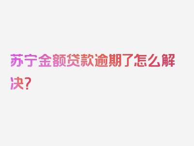 苏宁金额贷款逾期了怎么解决？