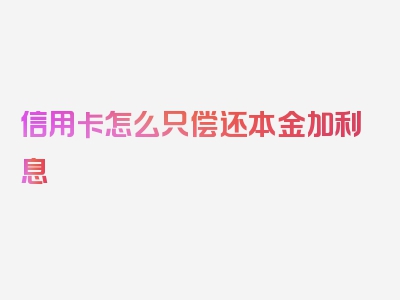 信用卡怎么只偿还本金加利息