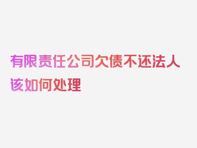 有限责任公司欠债不还法人该如何处理