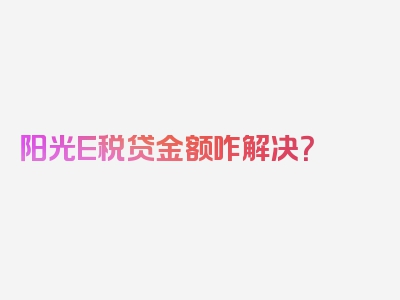 阳光E税贷金额咋解决？