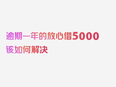 逾期一年的放心借5000该如何解决