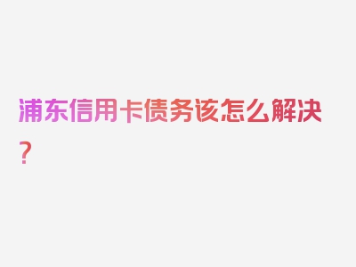 浦东信用卡债务该怎么解决？