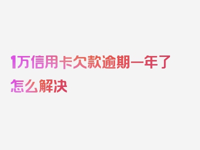 1万信用卡欠款逾期一年了怎么解决