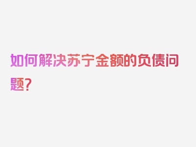 如何解决苏宁金额的负债问题？