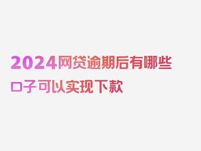 2024网贷逾期后有哪些口子可以实现下款