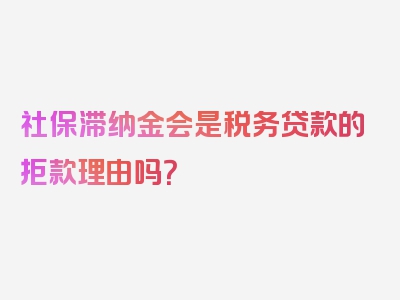 社保滞纳金会是税务贷款的拒款理由吗？