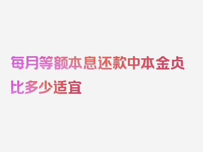 每月等额本息还款中本金占比多少适宜