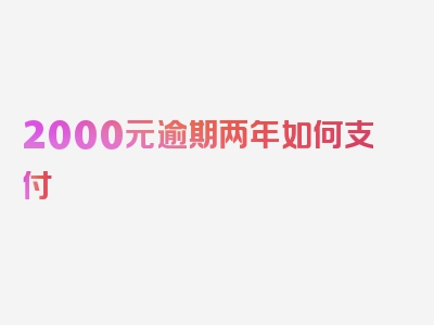 2000元逾期两年如何支付