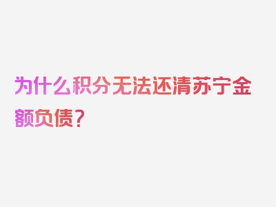 为什么积分无法还清苏宁金额负债？