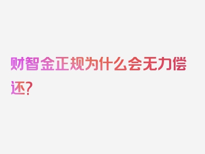 财智金正规为什么会无力偿还?