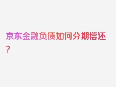 京东金融负债如何分期偿还?