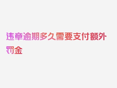 违章逾期多久需要支付额外罚金