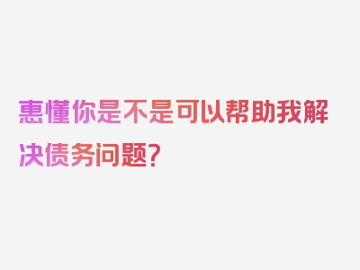 惠懂你是不是可以帮助我解决债务问题？