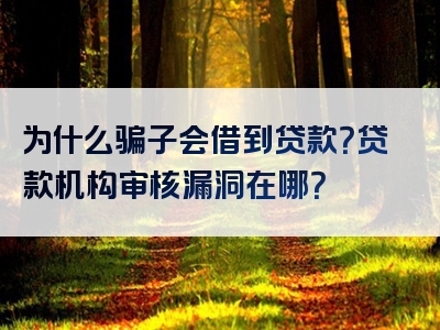 为什么骗子会借到贷款？贷款机构审核漏洞在哪？