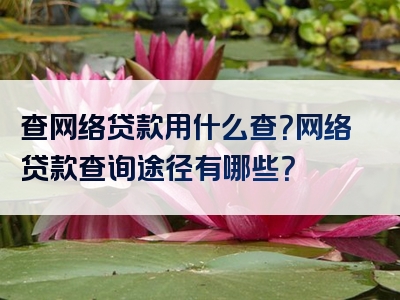 查网络贷款用什么查？网络贷款查询途径有哪些？