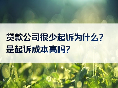 贷款公司很少起诉为什么？是起诉成本高吗？