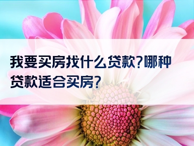 我要买房找什么贷款？哪种贷款适合买房？