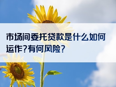 市场间委托贷款是什么如何运作？有何风险？