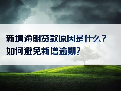 新增逾期贷款原因是什么？如何避免新增逾期？