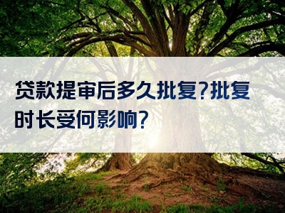 贷款提审后多久批复？批复时长受何影响？