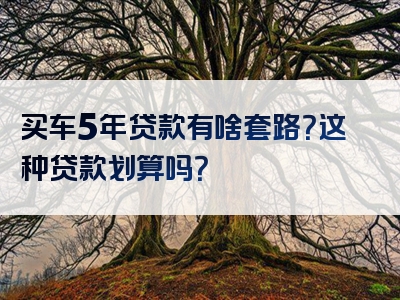 买车5年贷款有啥套路？这种贷款划算吗？