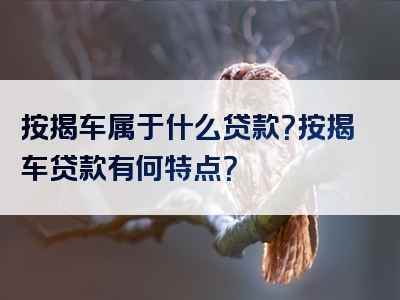 按揭车属于什么贷款？按揭车贷款有何特点？